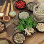 Medicinal Plants for Joint Pain - Herbal Treatments