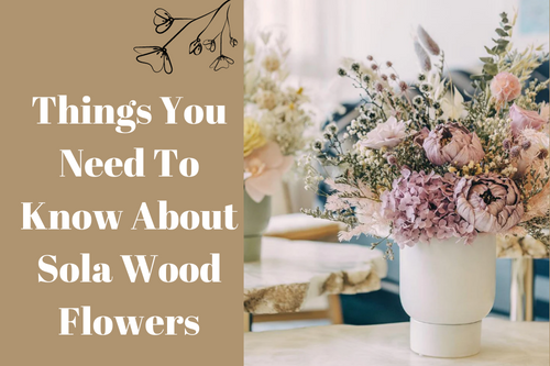 Things You Need To Know About Sola Wood Flowers