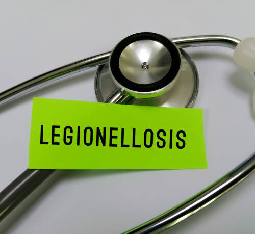 Where does Legionella grow the best?