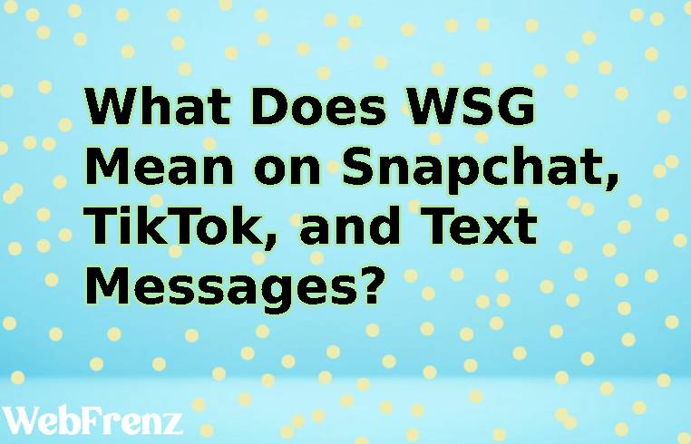 what-does-wsg-mean-on-snapchat-tiktok-and-text-messages-nazing